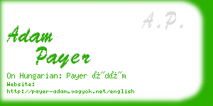 adam payer business card